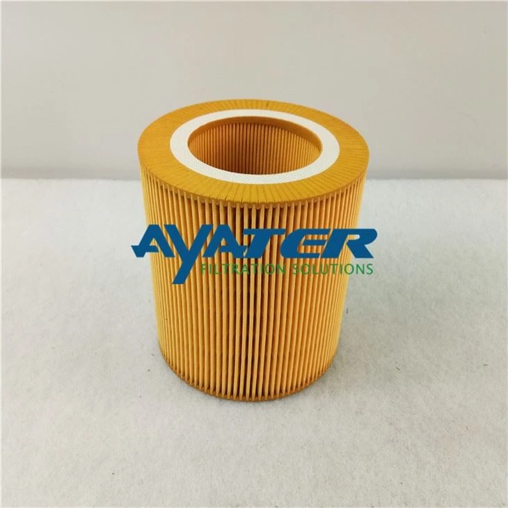 Mann C1250 Filter za usis zraka